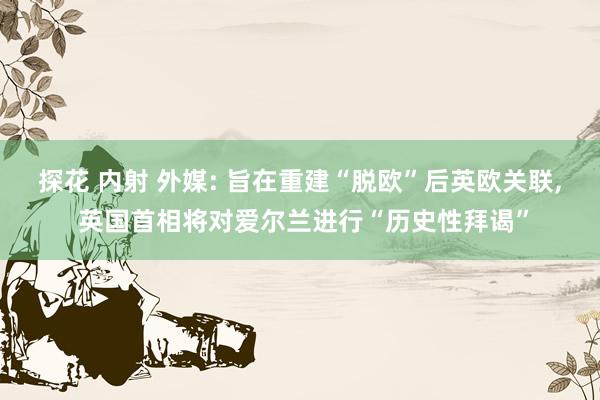 探花 内射 外媒: 旨在重建“脱欧”后英欧关联, 英国首相将对爱尔兰进行“历史性拜谒”