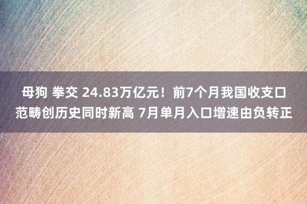 母狗 拳交 24.83万亿元！前7个月我国收支口范畴创历史同时新高 7月单月入口增速由负转正