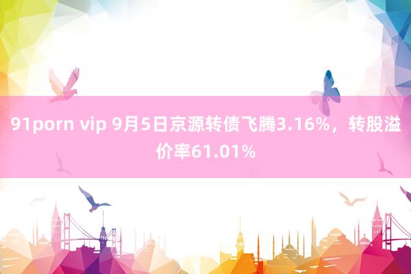 91porn vip 9月5日京源转债飞腾3.16%，转股溢价率61.01%