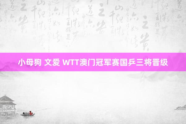 小母狗 文爱 WTT澳门冠军赛国乒三将晋级