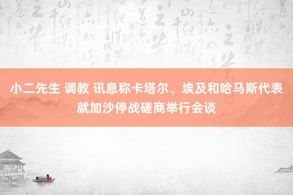 小二先生 调教 讯息称卡塔尔、埃及和哈马斯代表就加沙停战磋商举行会谈