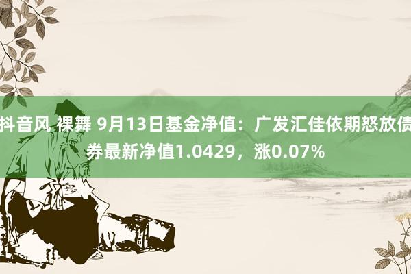 抖音风 裸舞 9月13日基金净值：广发汇佳依期怒放债券最新净值1.0429，涨0.07%