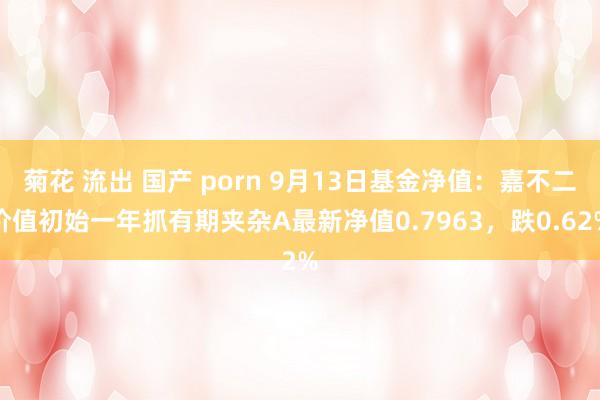 菊花 流出 国产 porn 9月13日基金净值：嘉不二价值初始一年抓有期夹杂A最新净值0.7963，跌0.62%