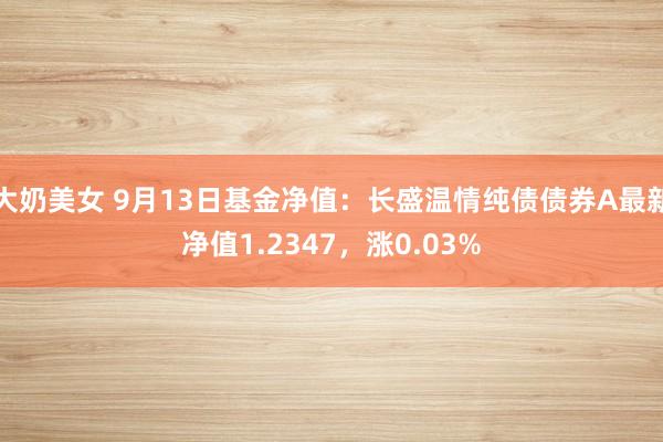 大奶美女 9月13日基金净值：长盛温情纯债债券A最新净值1.2347，涨0.03%