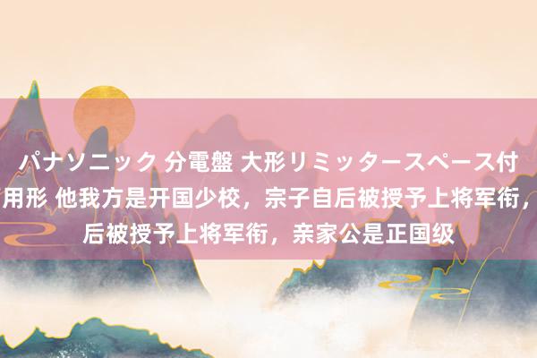 パナソニック 分電盤 大形リミッタースペース付 露出・半埋込両用形 他我方是开国少校，宗子自后被授予上将军衔，亲家公是正国级