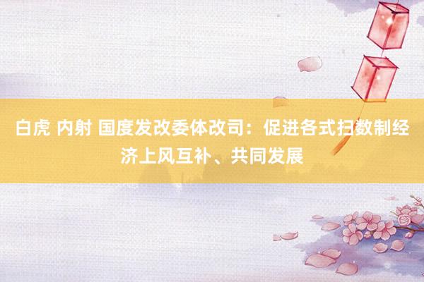 白虎 内射 国度发改委体改司：促进各式扫数制经济上风互补、共同发展