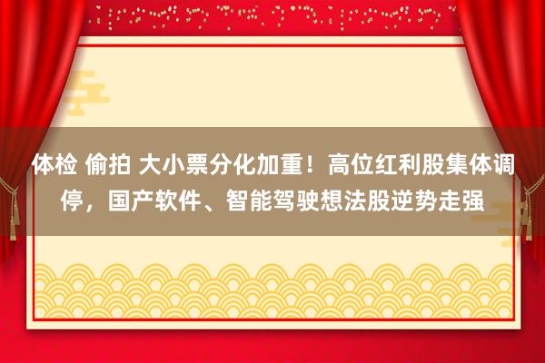 体检 偷拍 大小票分化加重！高位红利股集体调停，国产软件、智能驾驶想法股逆势走强