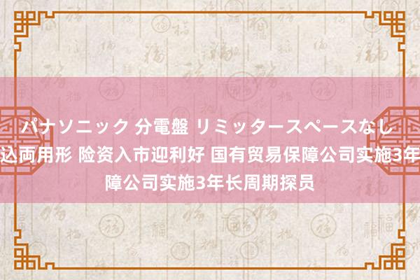 パナソニック 分電盤 リミッタースペースなし 露出・半埋込両用形 险资入市迎利好 国有贸易保障公司实施3年长周期探员