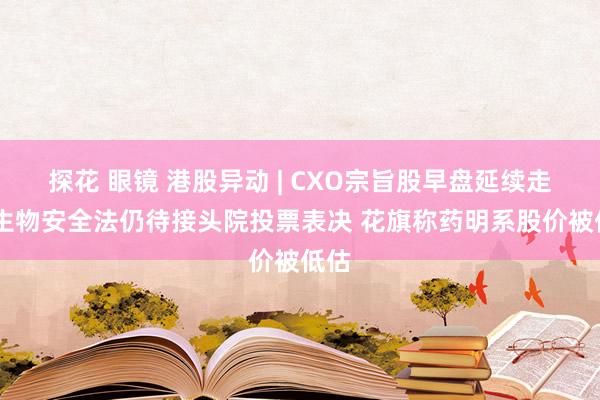 探花 眼镜 港股异动 | CXO宗旨股早盘延续走高 生物安全法仍待接头院投票表决 花旗称药明系股价被低估