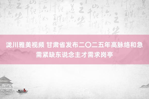 泷川雅美视频 甘肃省发布二〇二五年高脉络和急需紧缺东说念主才需求岗亭