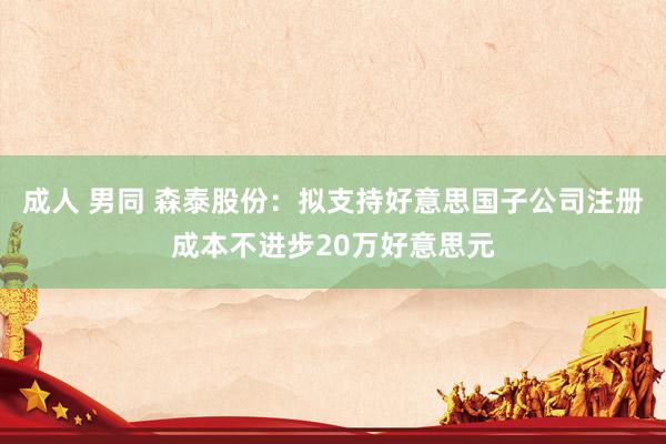 成人 男同 森泰股份：拟支持好意思国子公司注册成本不进步20万好意思元