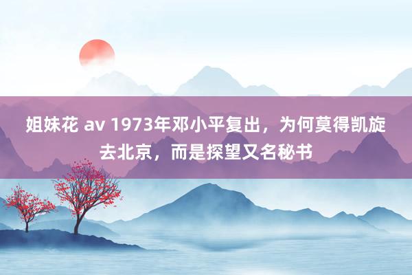 姐妹花 av 1973年邓小平复出，为何莫得凯旋去北京，而是探望又名秘书