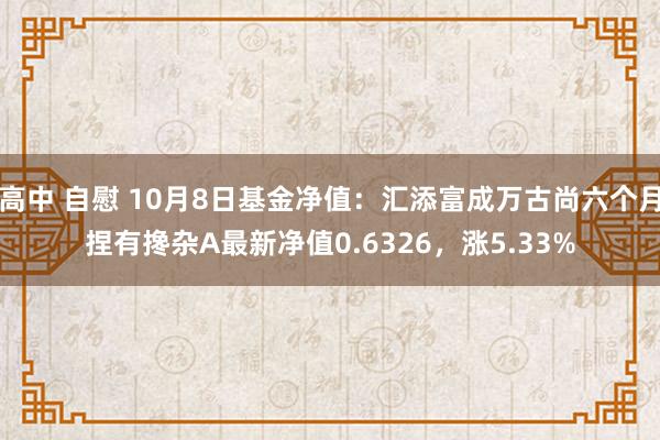 高中 自慰 10月8日基金净值：汇添富成万古尚六个月捏有搀杂A最新净值0.6326，涨5.33%