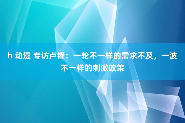 h 动漫 专访卢锋：一轮不一样的需求不及，一波不一样的刺激政策