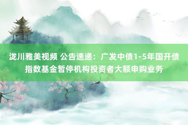 泷川雅美视频 公告速递：广发中债1-5年国开债指数基金暂停机构投资者大额申购业务