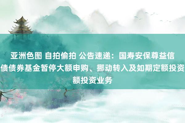 亚洲色图 自拍偷拍 公告速递：国寿安保尊益信用纯债债券基金暂停大额申购、挪动转入及如期定额投资业务