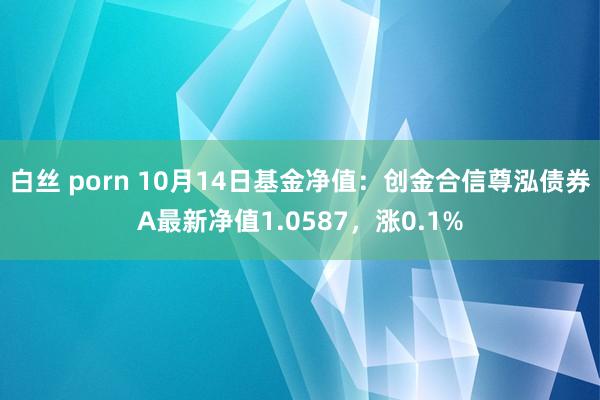 白丝 porn 10月14日基金净值：创金合信尊泓债券A最新净值1.0587，涨0.1%