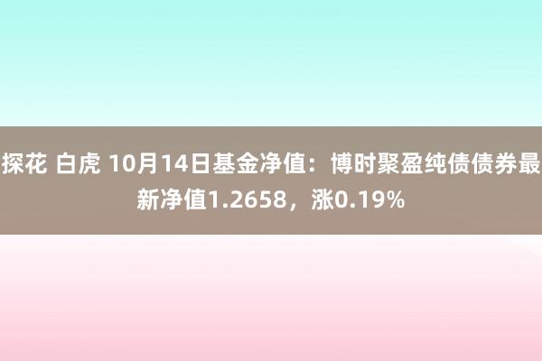 探花 白虎 10月14日基金净值：博时聚盈纯债债券最新净值1.2658，涨0.19%