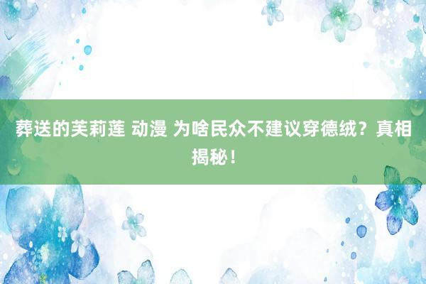 葬送的芙莉莲 动漫 为啥民众不建议穿德绒？真相揭秘！