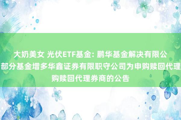 大奶美女 光伏ETF基金: 鹏华基金解决有限公司对于旗下部分基金增多华鑫证券有限职守公司为申购赎回代理券商的公告