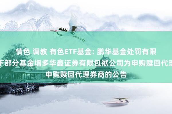 情色 调教 有色ETF基金: 鹏华基金处罚有限公司对于旗下部分基金增多华鑫证券有限包袱公司为申购赎回代理券商的公告