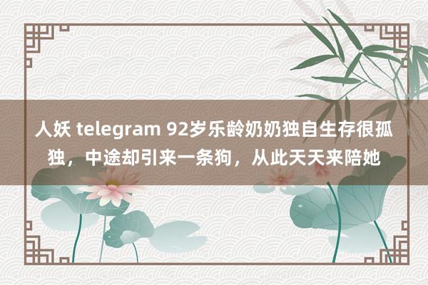 人妖 telegram 92岁乐龄奶奶独自生存很孤独，中途却引来一条狗，从此天天来陪她