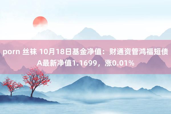 porn 丝袜 10月18日基金净值：财通资管鸿福短债A最新净值1.1699，涨0.01%