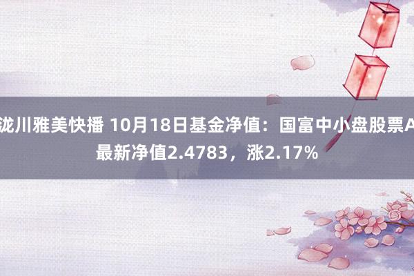 泷川雅美快播 10月18日基金净值：国富中小盘股票A最新净值2.4783，涨2.17%