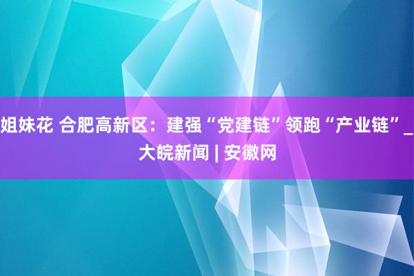 姐妹花 合肥高新区：建强“党建链”领跑“产业链”_大皖新闻 | 安徽网