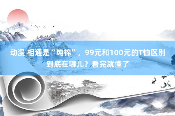 动漫 相通是“纯棉”，99元和100元的T恤区别到底在哪儿？看完就懂了