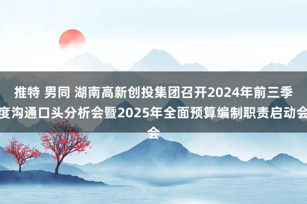 推特 男同 湖南高新创投集团召开2024年前三季度沟通口头分析会暨2025年全面预算编制职责启动会