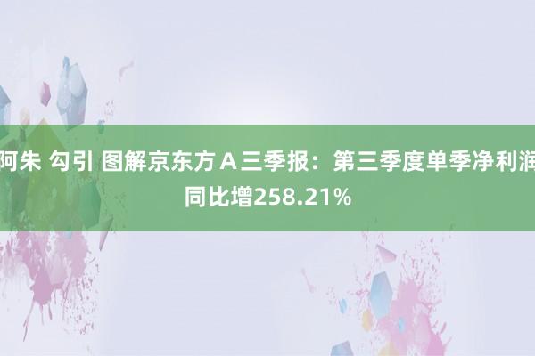 阿朱 勾引 图解京东方Ａ三季报：第三季度单季净利润同比增258.21%