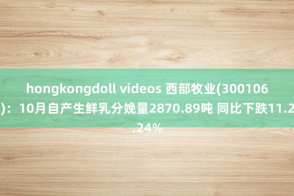 hongkongdoll videos 西部牧业(300106.SZ)：10月自产生鲜乳分娩量2870.89吨 同比下跌11.24%