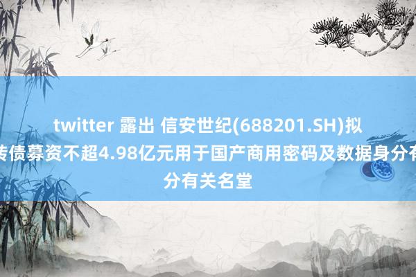 twitter 露出 信安世纪(688201.SH)拟刊行可转债募资不超4.98亿元用于国产商用密码及数据身分有关名堂