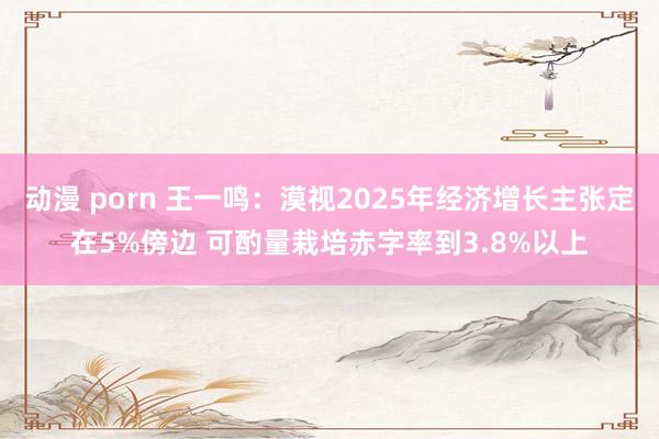 动漫 porn 王一鸣：漠视2025年经济增长主张定在5%傍边 可酌量栽培赤字率到3.8%以上