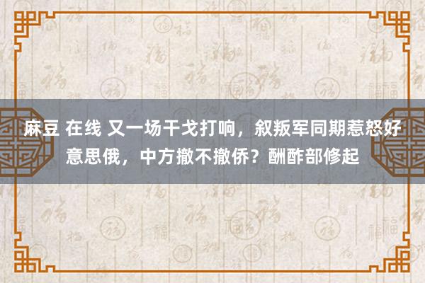 麻豆 在线 又一场干戈打响，叙叛军同期惹怒好意思俄，中方撤不撤侨？酬酢部修起