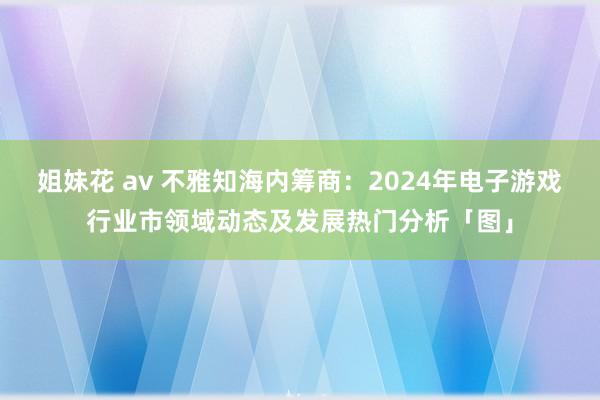 姐妹花 av 不雅知海内筹商：2024年电子游戏行业市领域动态及发展热门分析「图」