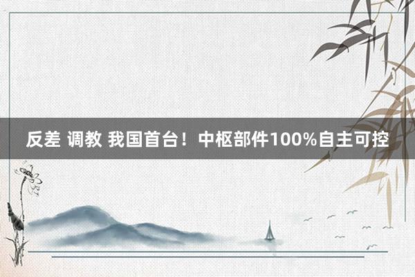 反差 调教 我国首台！中枢部件100%自主可控