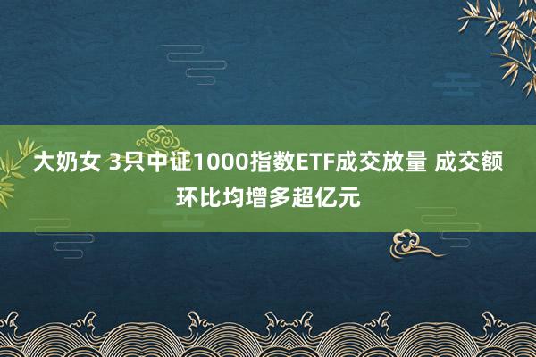 大奶女 3只中证1000指数ETF成交放量 成交额环比均增多超亿元