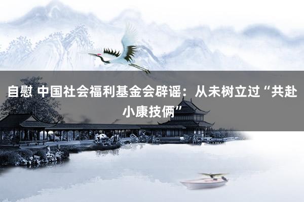 自慰 中国社会福利基金会辟谣：从未树立过“共赴小康技俩”