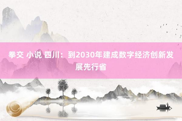 拳交 小说 四川：到2030年建成数字经济创新发展先行省