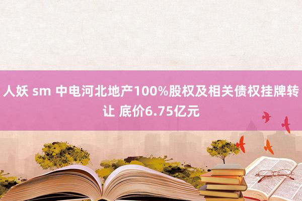 人妖 sm 中电河北地产100%股权及相关债权挂牌转让 底价6.75亿元