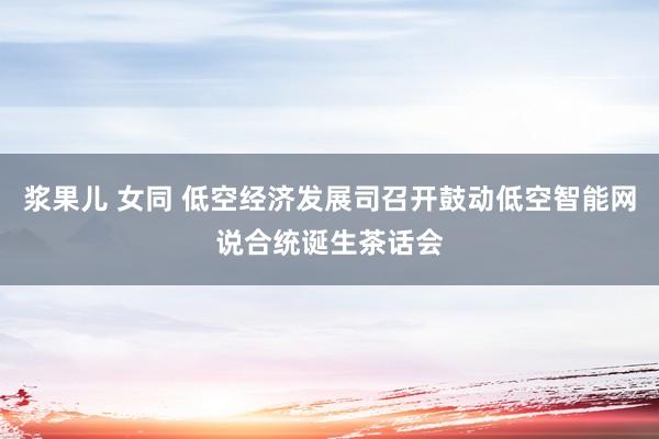 浆果儿 女同 低空经济发展司召开鼓动低空智能网说合统诞生茶话会