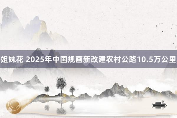 姐妹花 2025年中国规画新改建农村公路10.5万公里