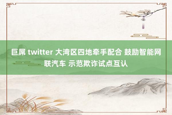 巨屌 twitter 大湾区四地牵手配合 鼓励智能网联汽车 示范欺诈试点互认