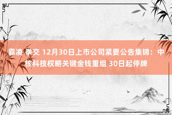 霸凌 拳交 12月30日上市公司紧要公告集锦：中核科技权略关键金钱重组 30日起停牌