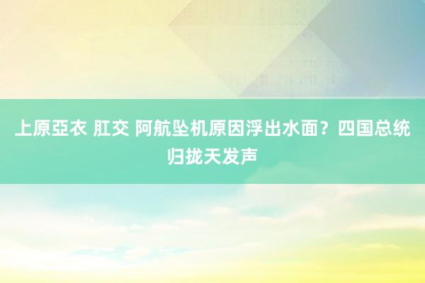 上原亞衣 肛交 阿航坠机原因浮出水面？四国总统归拢天发声