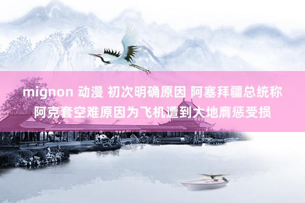 mignon 动漫 初次明确原因 阿塞拜疆总统称阿克套空难原因为飞机遭到大地膺惩受损