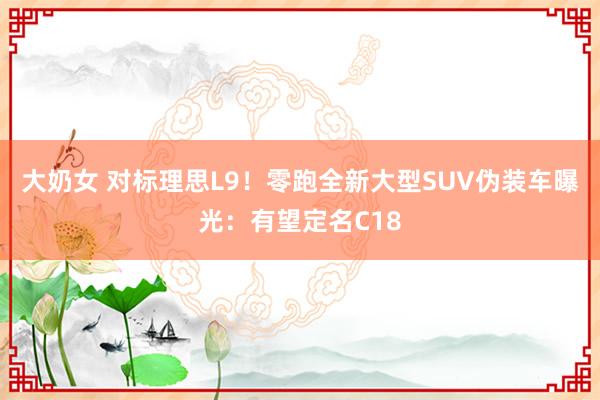 大奶女 对标理思L9！零跑全新大型SUV伪装车曝光：有望定名C18