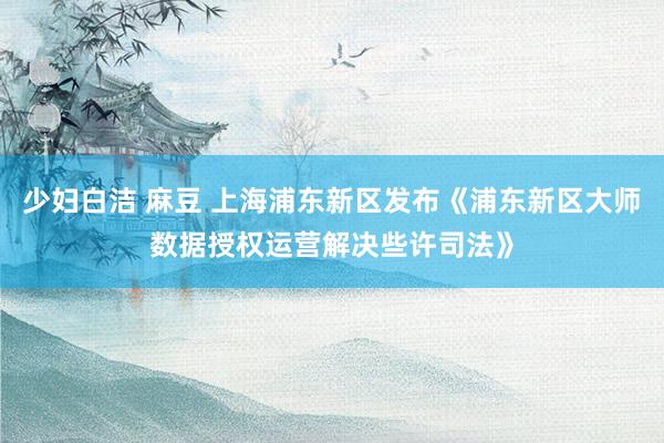 少妇白洁 麻豆 上海浦东新区发布《浦东新区大师数据授权运营解决些许司法》